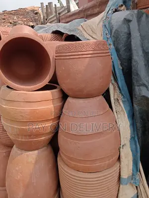 Pots of Flowers