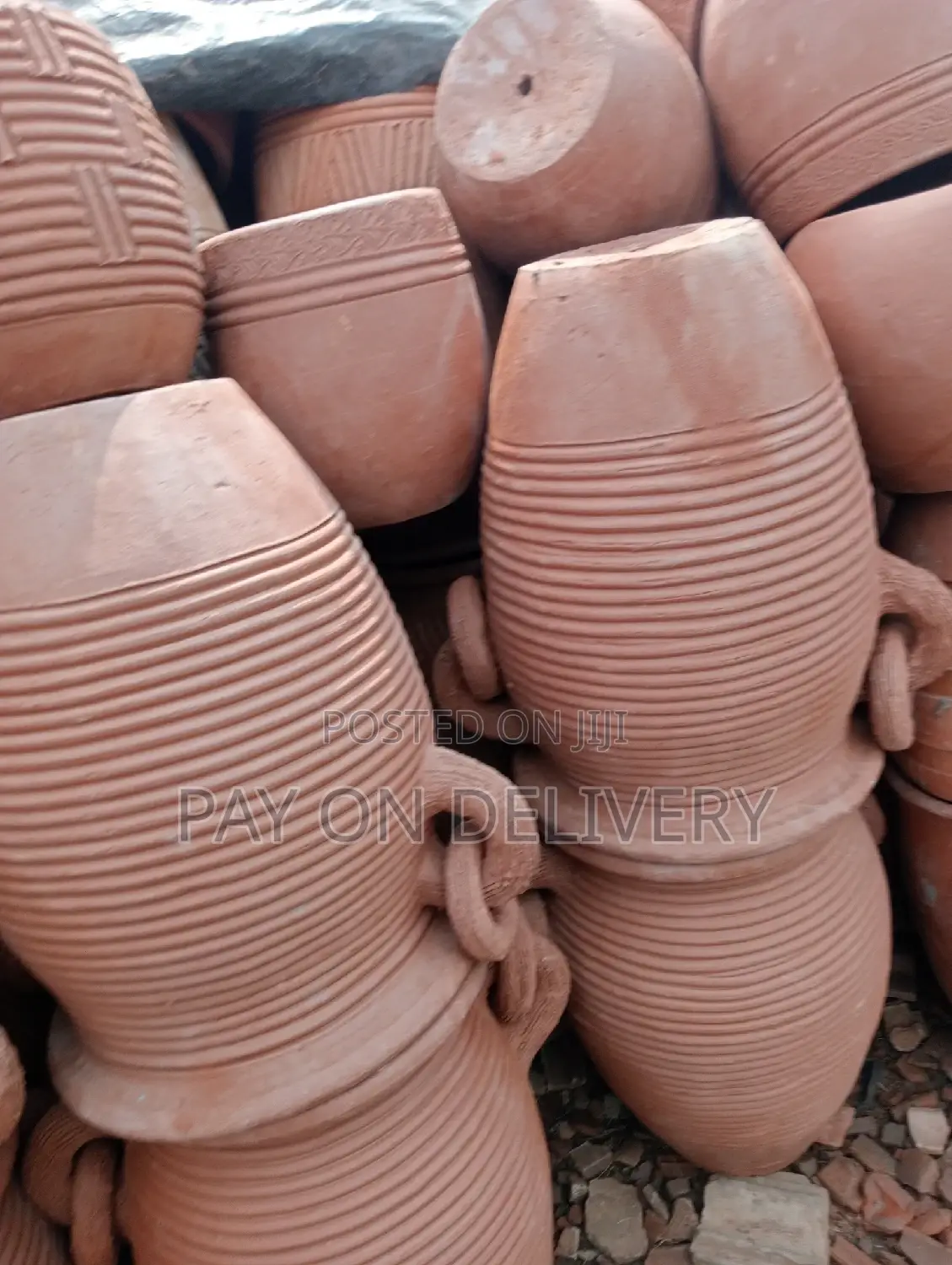 Pots of Flowers