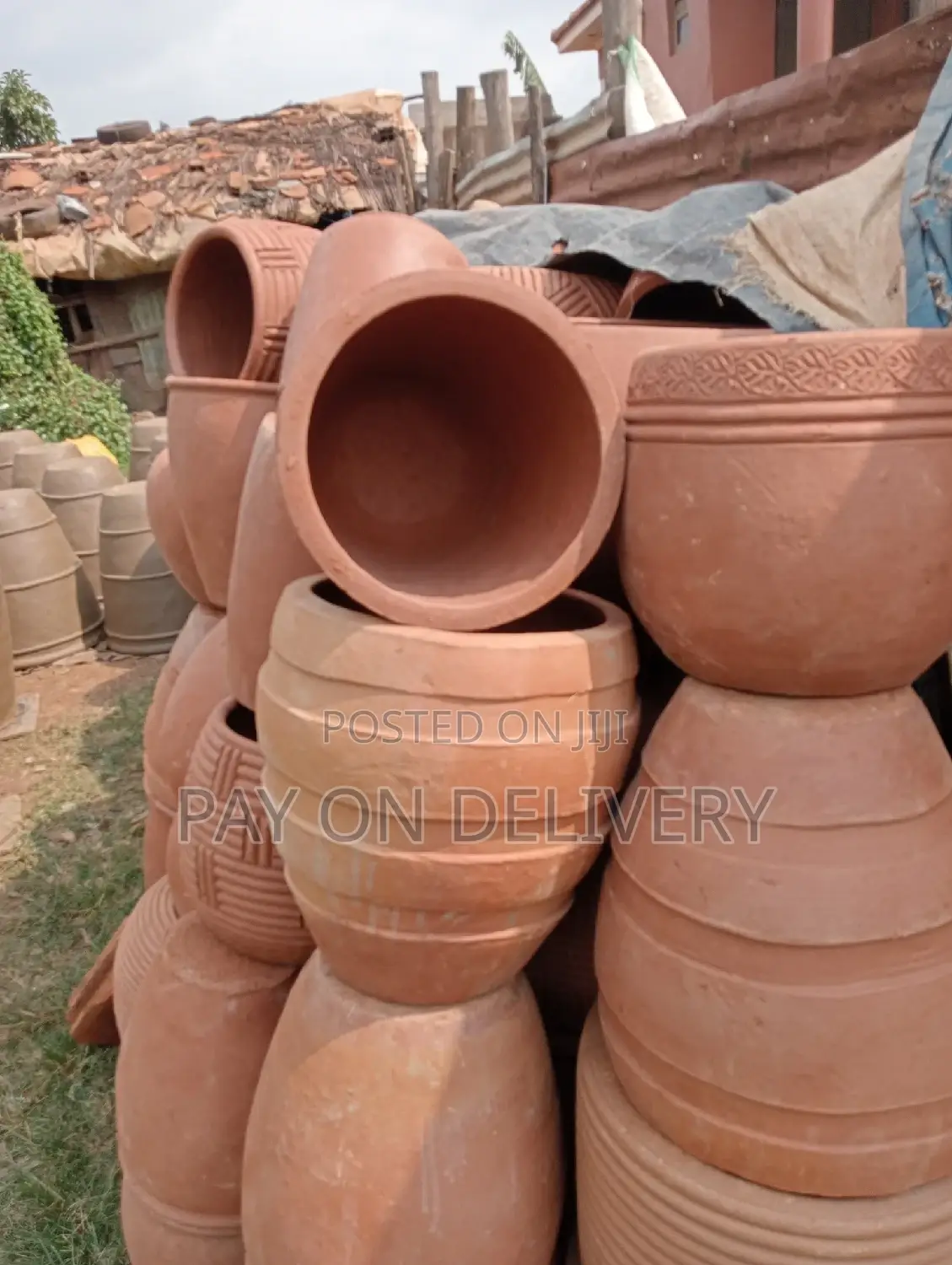 Pots of Flowers