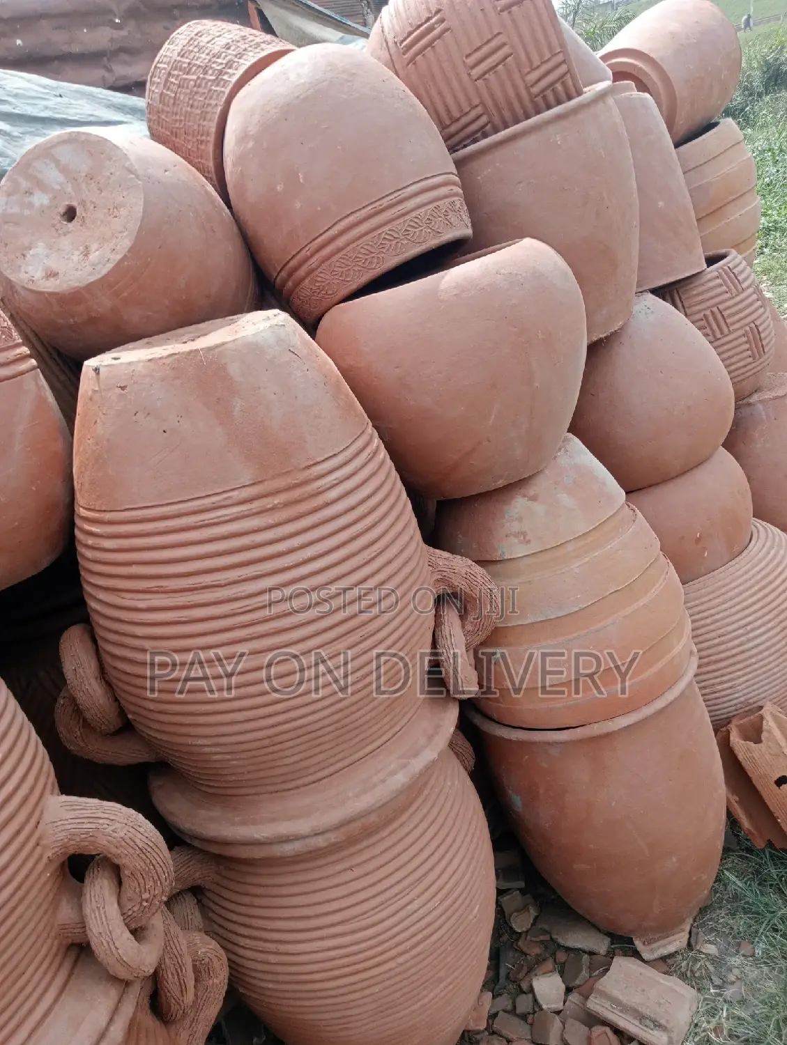 Pots of Flowers