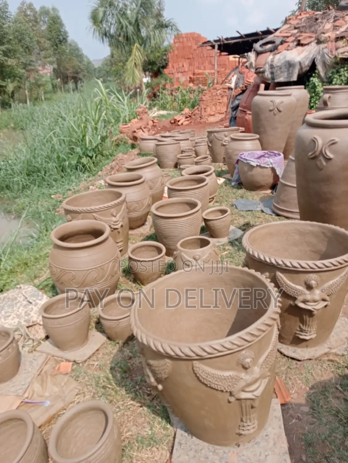 Pots of Flowers