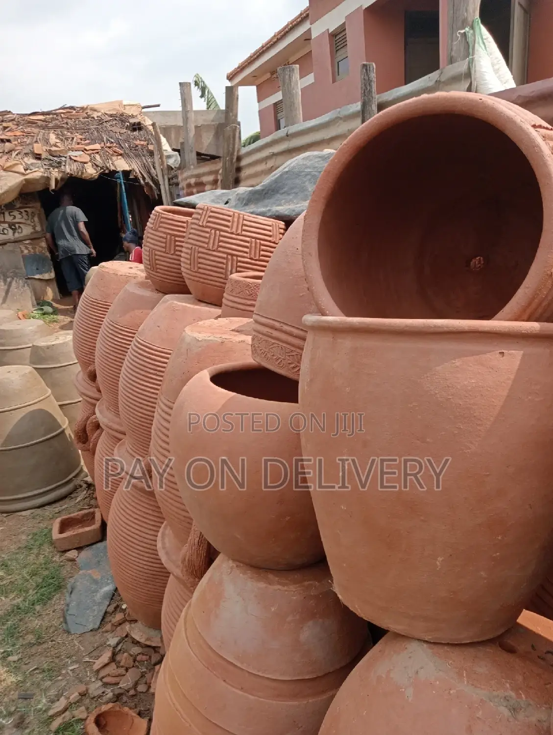 Pots of Flowers
