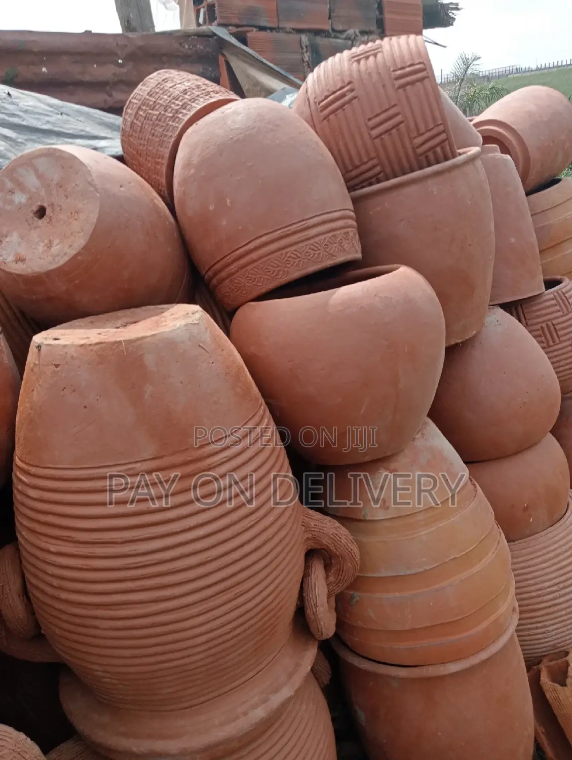 Pots of Flowers