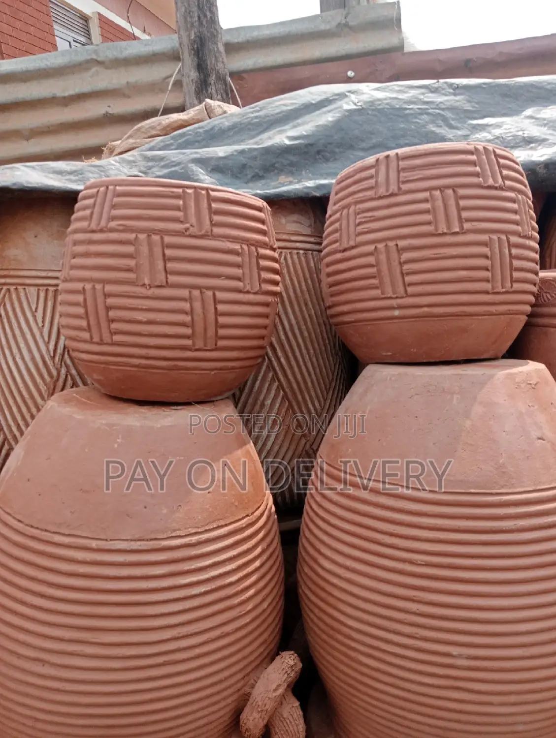 Pots of Flowers