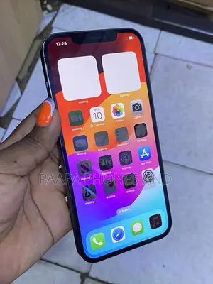 Apple iPhone 12 Pro Max 256 GB Black