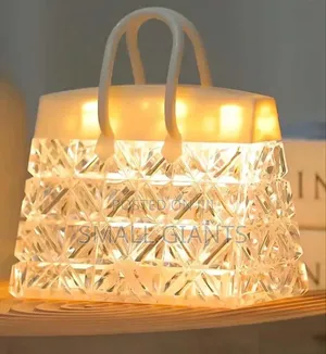 Exquisite Handbag Design Led Light Light
