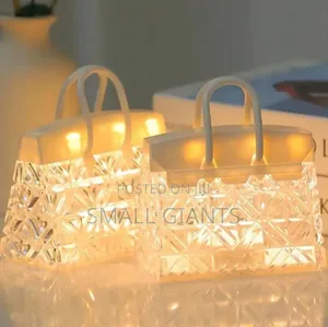 Exquisite Handbag Design Led Light Light