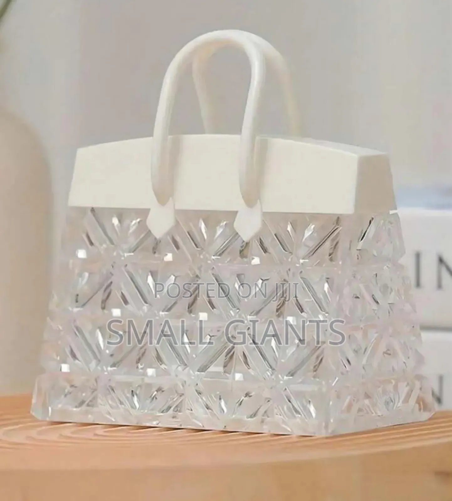 Exquisite Handbag Design Led Light Light