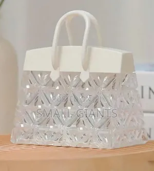 Exquisite Handbag Design Led Light Light