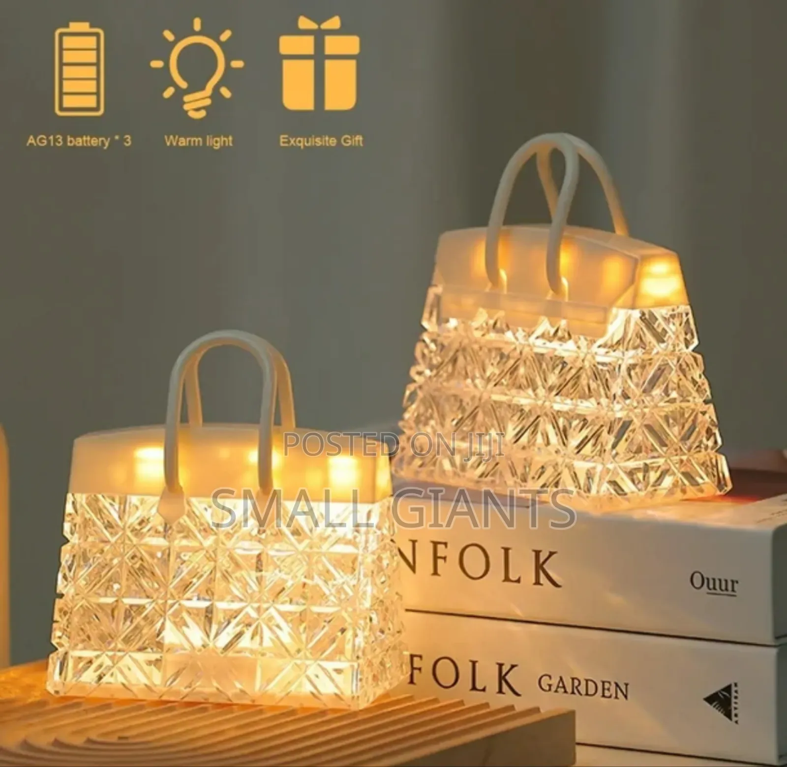 Exquisite Handbag Design Led Light Light