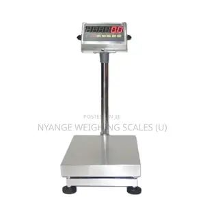 Electronic Heavy Duty Floor Weighing Scale 200kg-350kg Weigh
