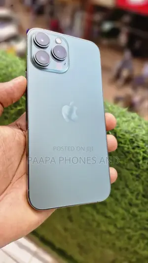 Apple iPhone 13 Pro Max 256 GB Green