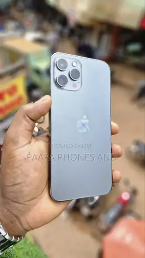 Apple iPhone 12 Pro Max 256 GB Gray