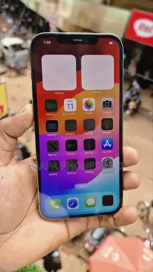 Apple iPhone 12 Pro Max 256 GB Gray