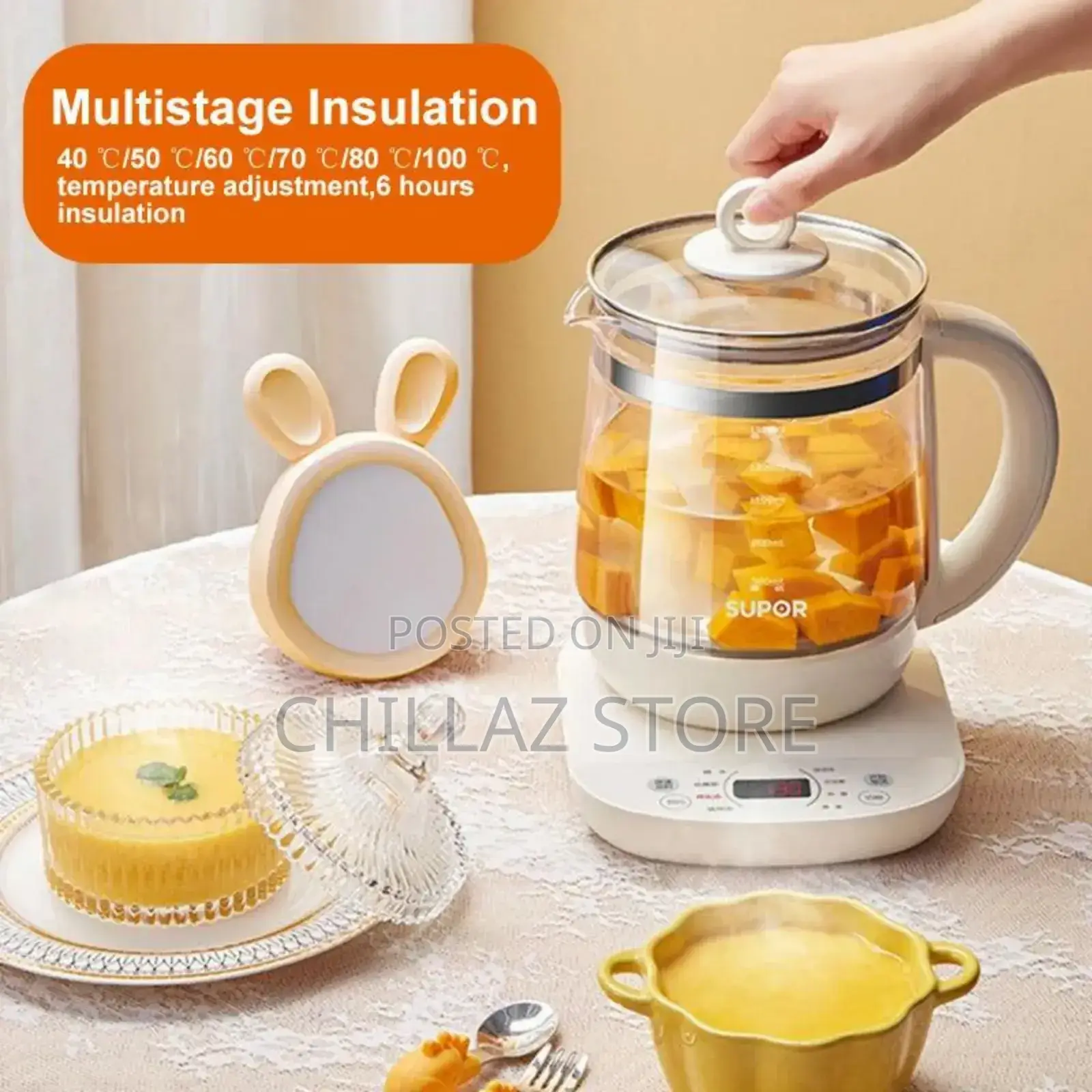 Electric Teapot Kettle