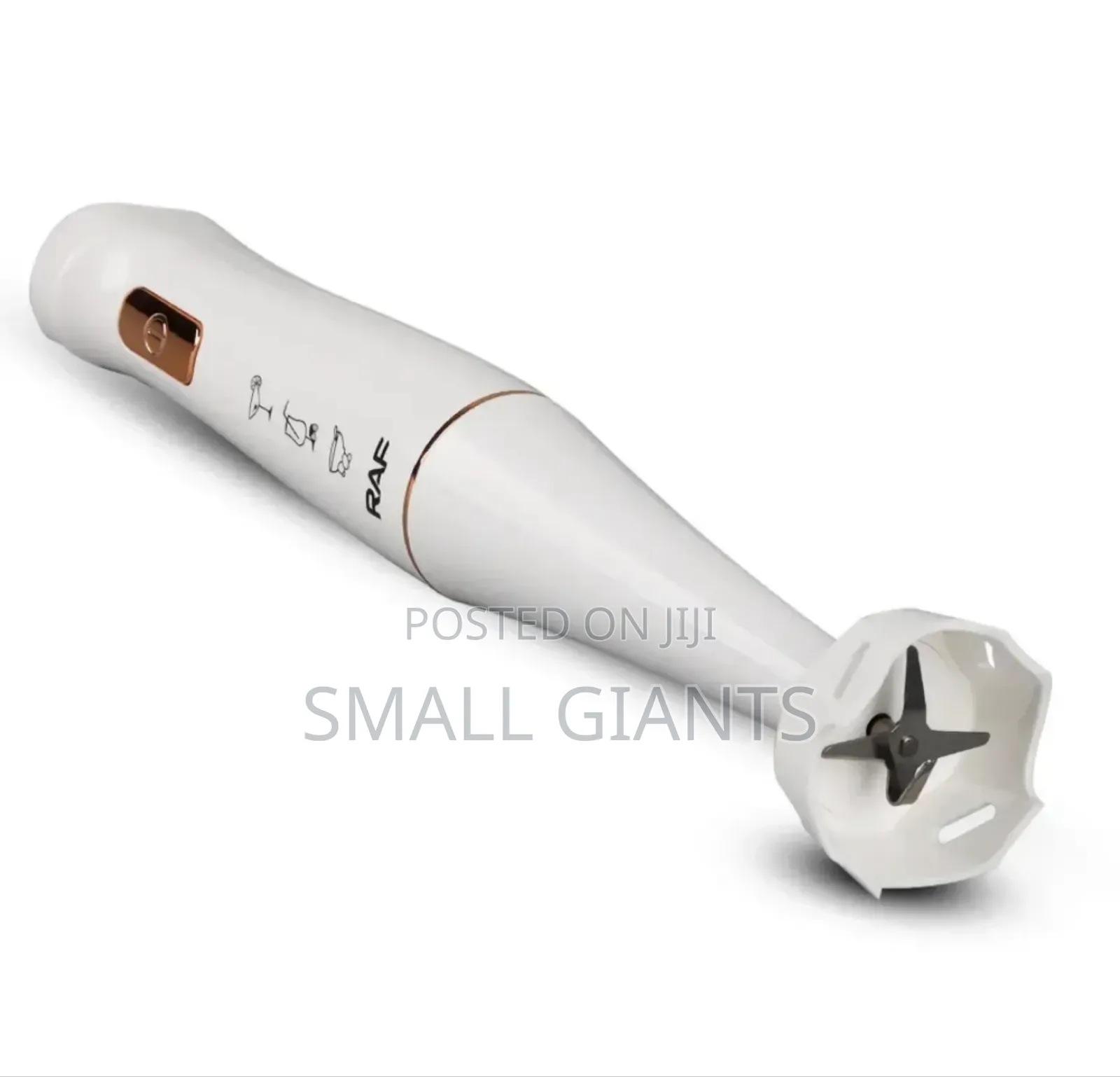 Raf R312G Hand Blender 800w