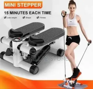 Brand Mini Gym Stepper