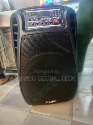 Amplified Bluetooth Speaker + Microphones