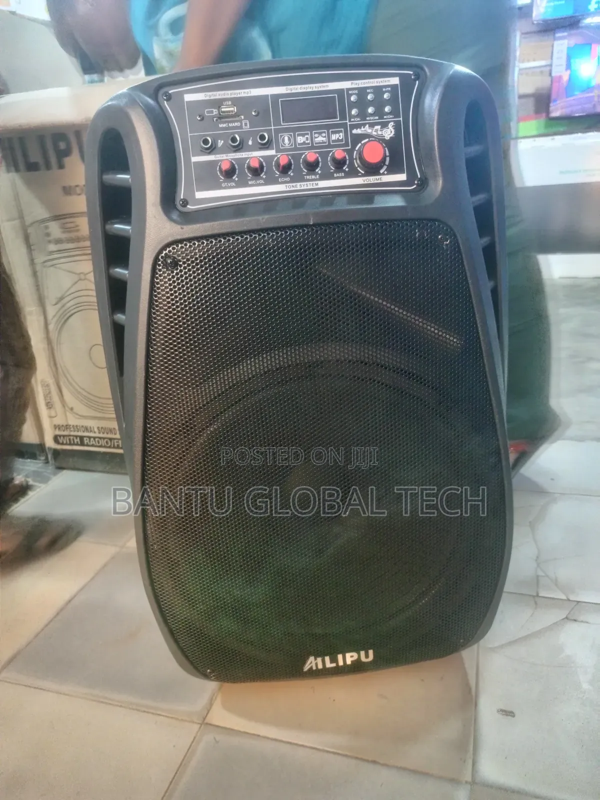 Amplified Bluetooth Speaker + Microphones