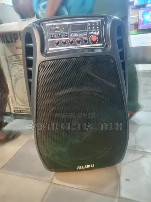 Amplified Bluetooth Speaker + Microphones