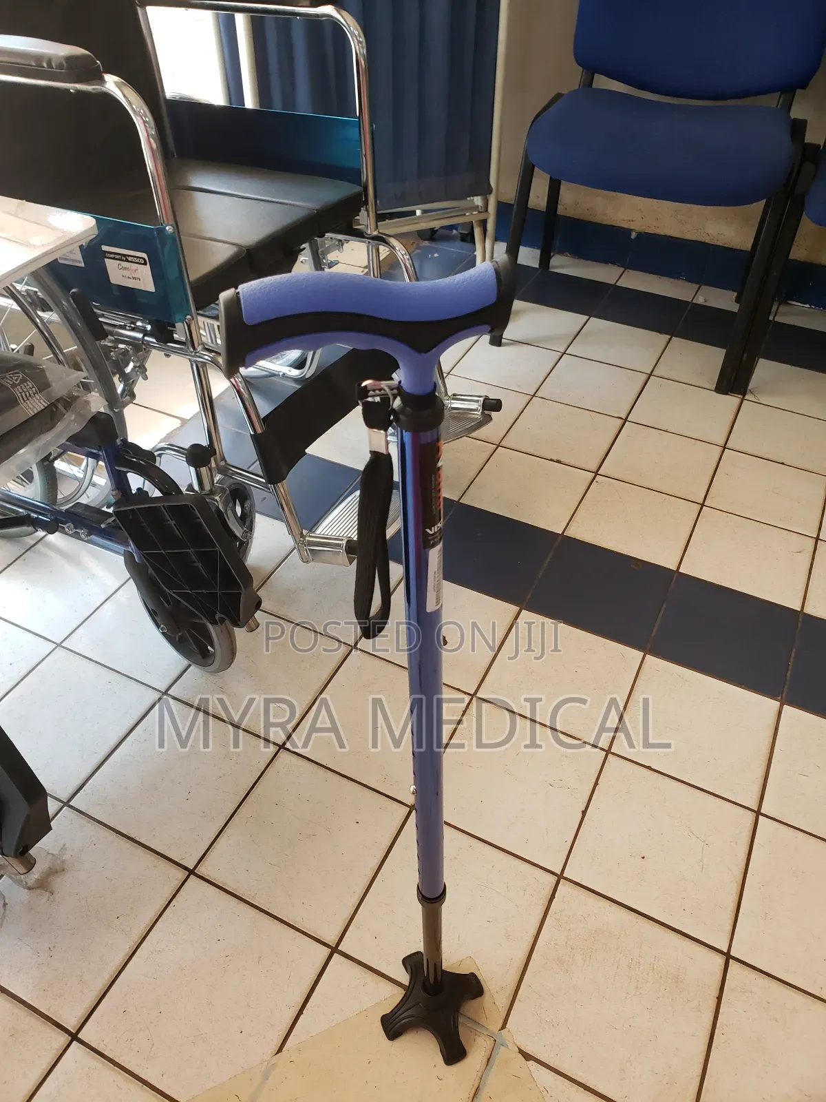 Walking Stick