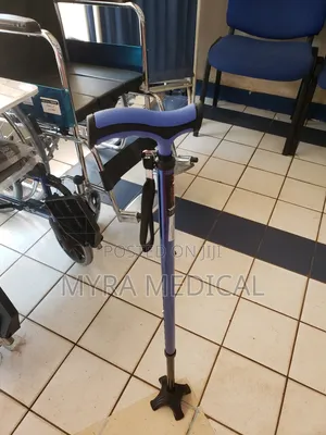 Walking Stick