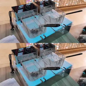 Electric Double Fryer