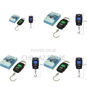 Portable Electronic Weighing Scale