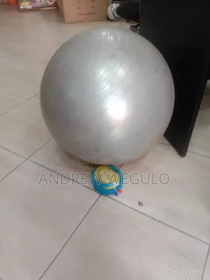 Exercise Gym Ball