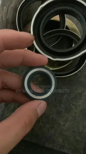 Oil Seals and Hydraulic Seals