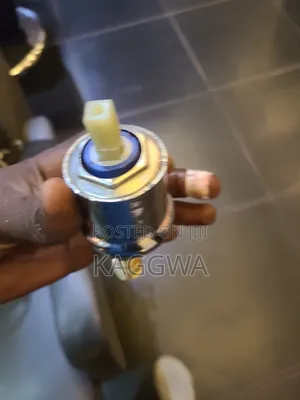 Plumbing in Service and Jenuin
