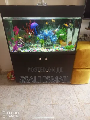 Attractive Aquarium With Best Interior