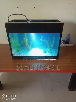 Simple and Cheaper Aquarium