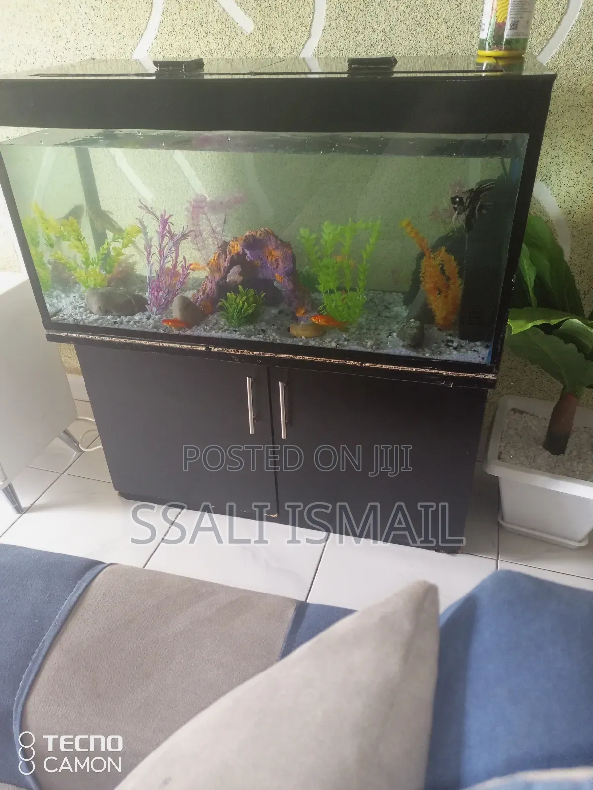 Best in Black Colour Stand Design