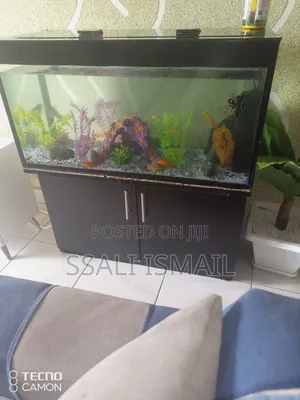 Best in Black Colour Stand Design