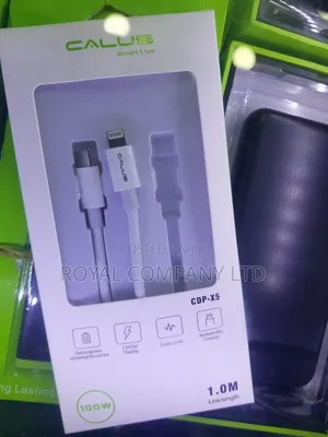 Type C to iPhone Cable 100w
