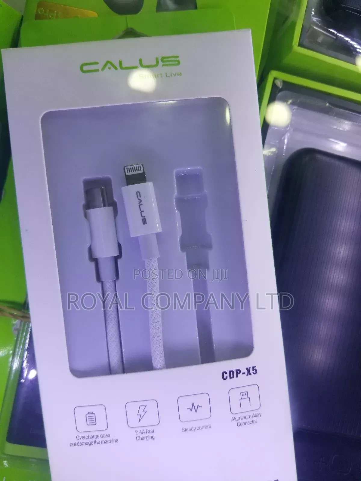 Type C to iPhone Cable 100w