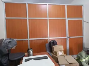 Office Aluminum and Wood Partition Door