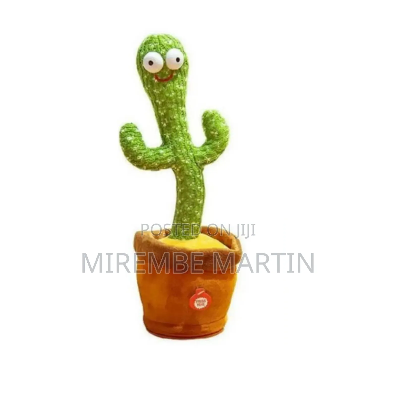 Kid's Dancing Cactus Toy.
