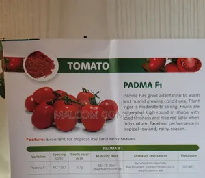 Padma F1 Tomato Seeds 5g 70day Maturity.