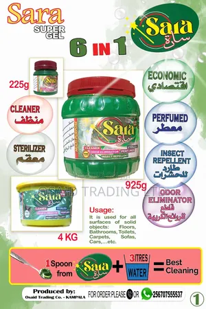 High Quality Detergents , Liquid Soap, Bleach, Flash Etc