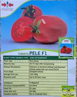 Pele F1 Tomato Seeds 25g