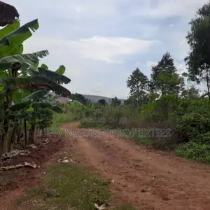 Two Acres Onquicksale in Mpigi Kabasanda With Readycut Title
