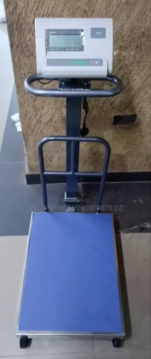 300kg Weigh Electronic Weighing Scale Heavy Duty Floor Weighing Scale
