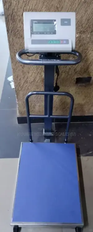 Industry Platform Weighing Scales 500kg Weigh Accurate Weighing Scale