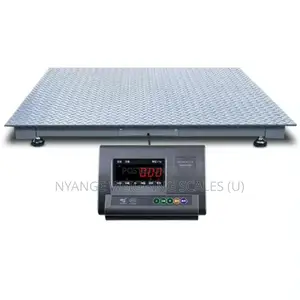 3000kg Electronic Heavy Duty Floor Weighing Scale [235]