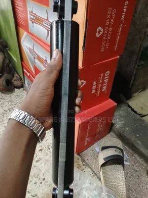 Shock Absorbers