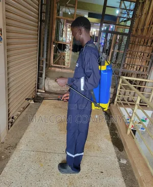 Bedbugs Control Around Kampala