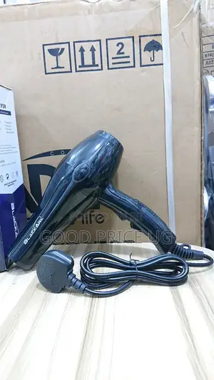 Black Ark Hair Dryer