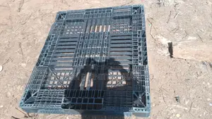 Plastic Pallets